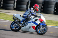 PJ-Motorsport-2019;anglesey-no-limits-trackday;anglesey-photographs;anglesey-trackday-photographs;enduro-digital-images;event-digital-images;eventdigitalimages;no-limits-trackdays;peter-wileman-photography;racing-digital-images;trac-mon;trackday-digital-images;trackday-photos;ty-croes